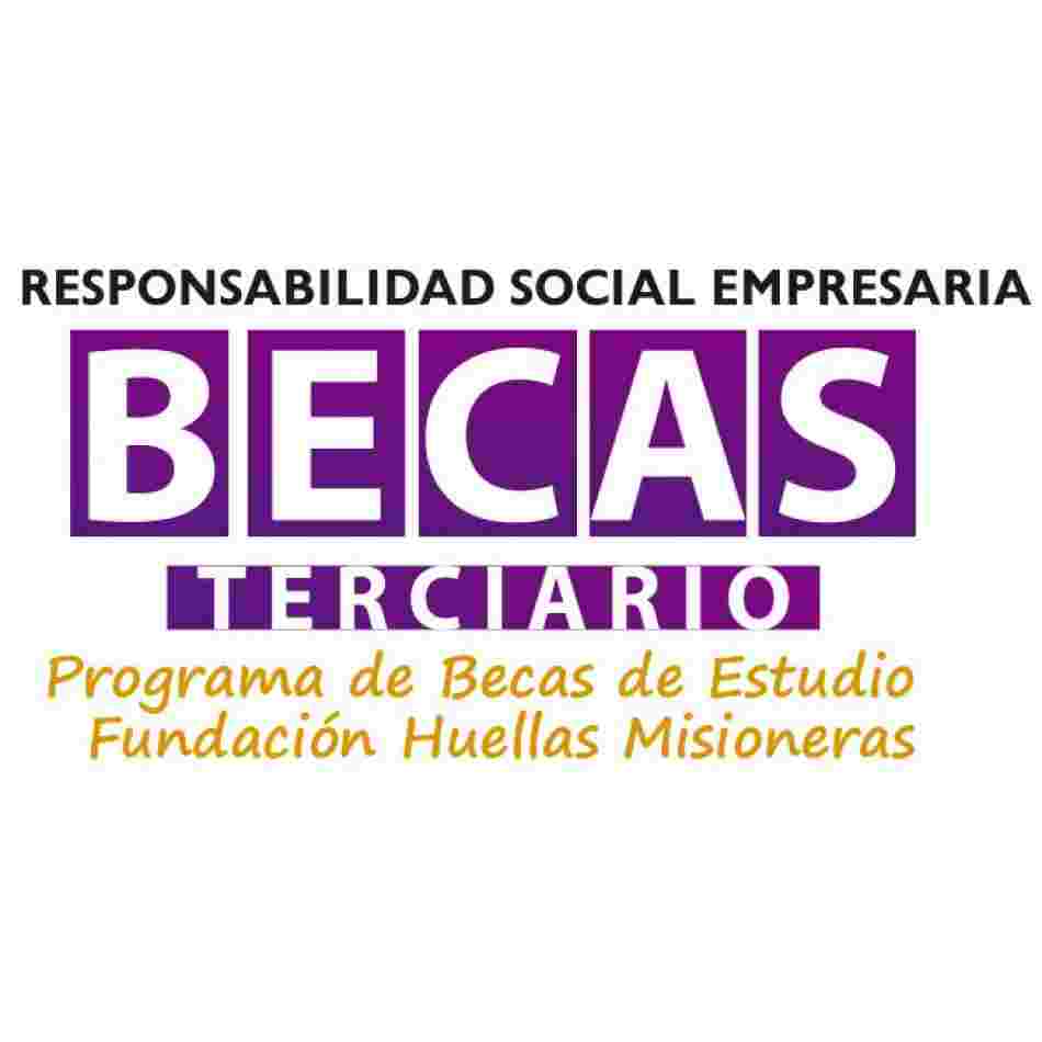 Becas Terciarios