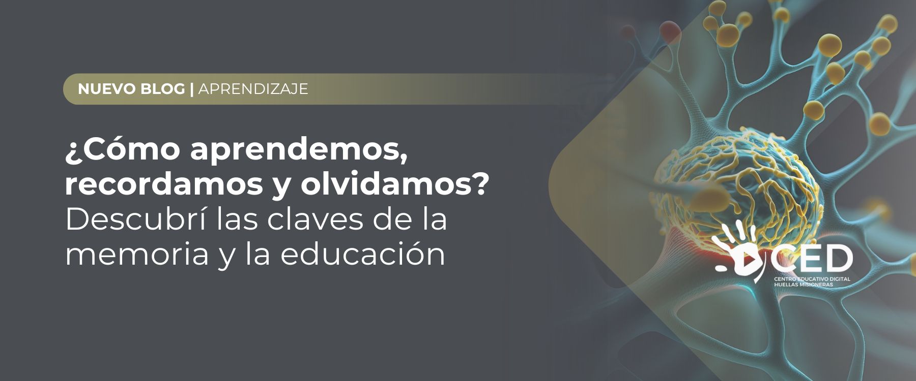 banner blog porque recordamos