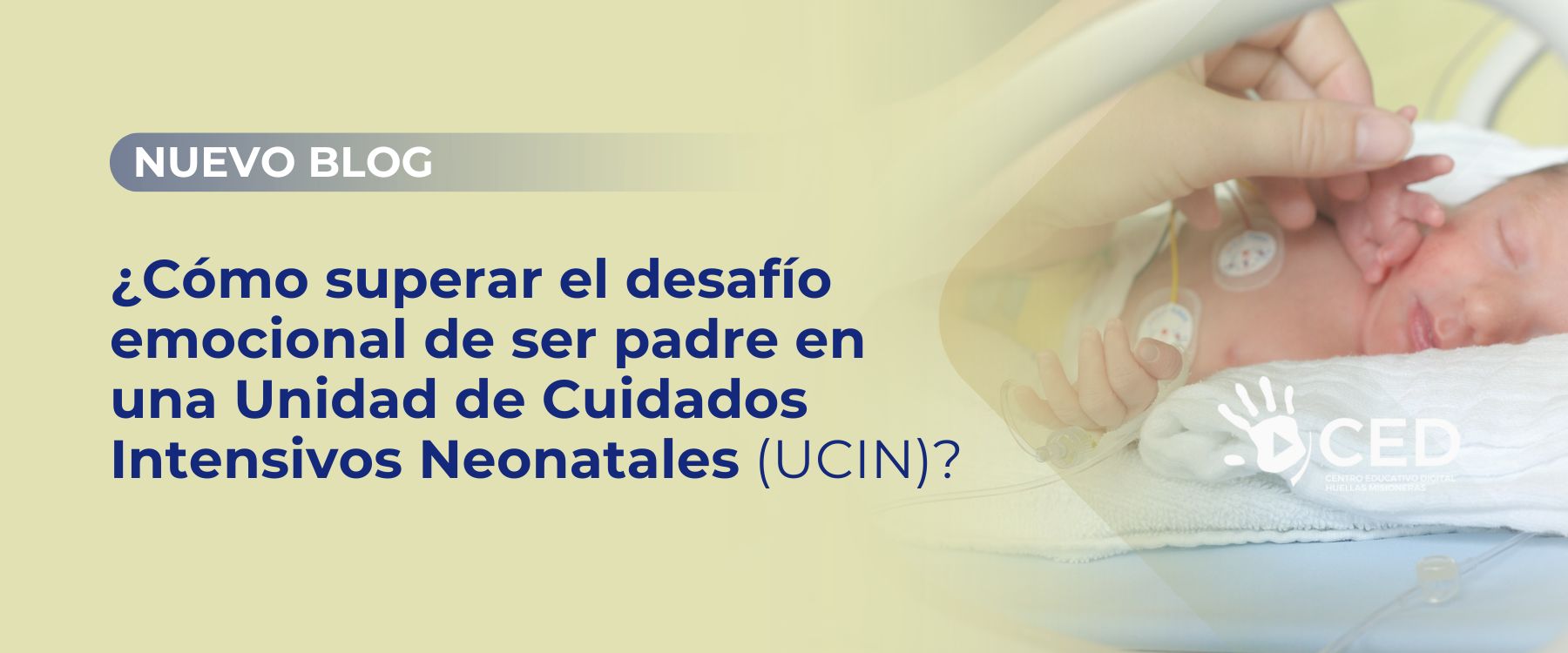 Banner Blog neonatal