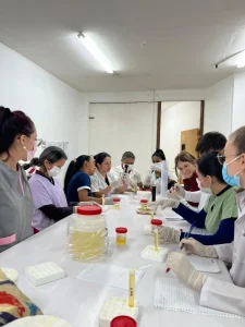 Extraccionista img 1