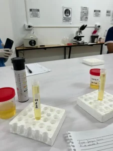 Extraccionista img 3