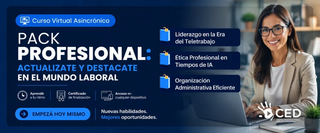 Flyer Pack Profesional