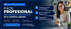 Flyer Pack Profesional